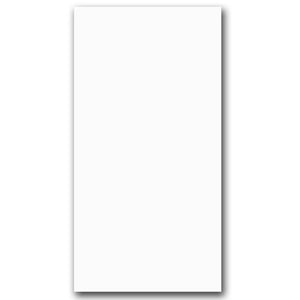 THEO DI Tile Rectified White Matt 300x600mm