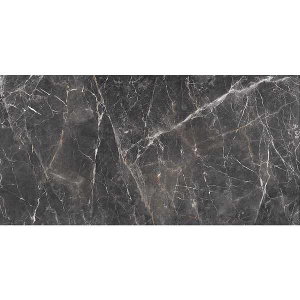 THEO DI Tile Segesta Nero Honed 600x1200mm