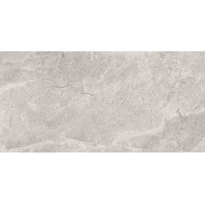 THEO DI Tile Tundra Grey Gloss 300x600mm
