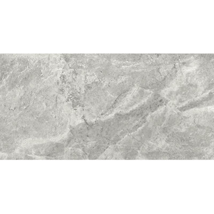 THEO DI Tile Tundra Storm Gloss 300x600mm