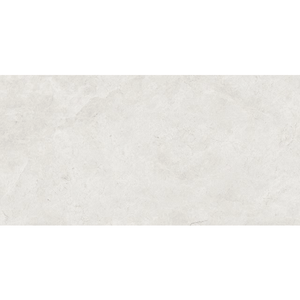 THEO DI Tile Tundra White Gloss 300x600mm