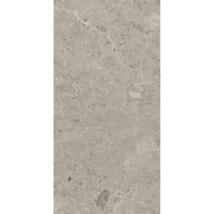 THEO DI Tile WITHTAUI3	300X600 WITHCOTT TAUPE P3