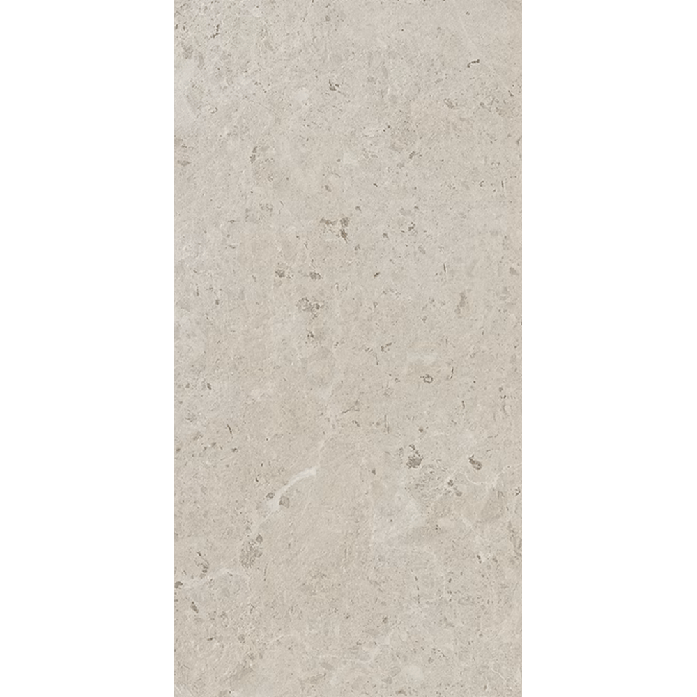THEO DI Tile WITHWHI3	300X600 WITHCOTT WHITE P3