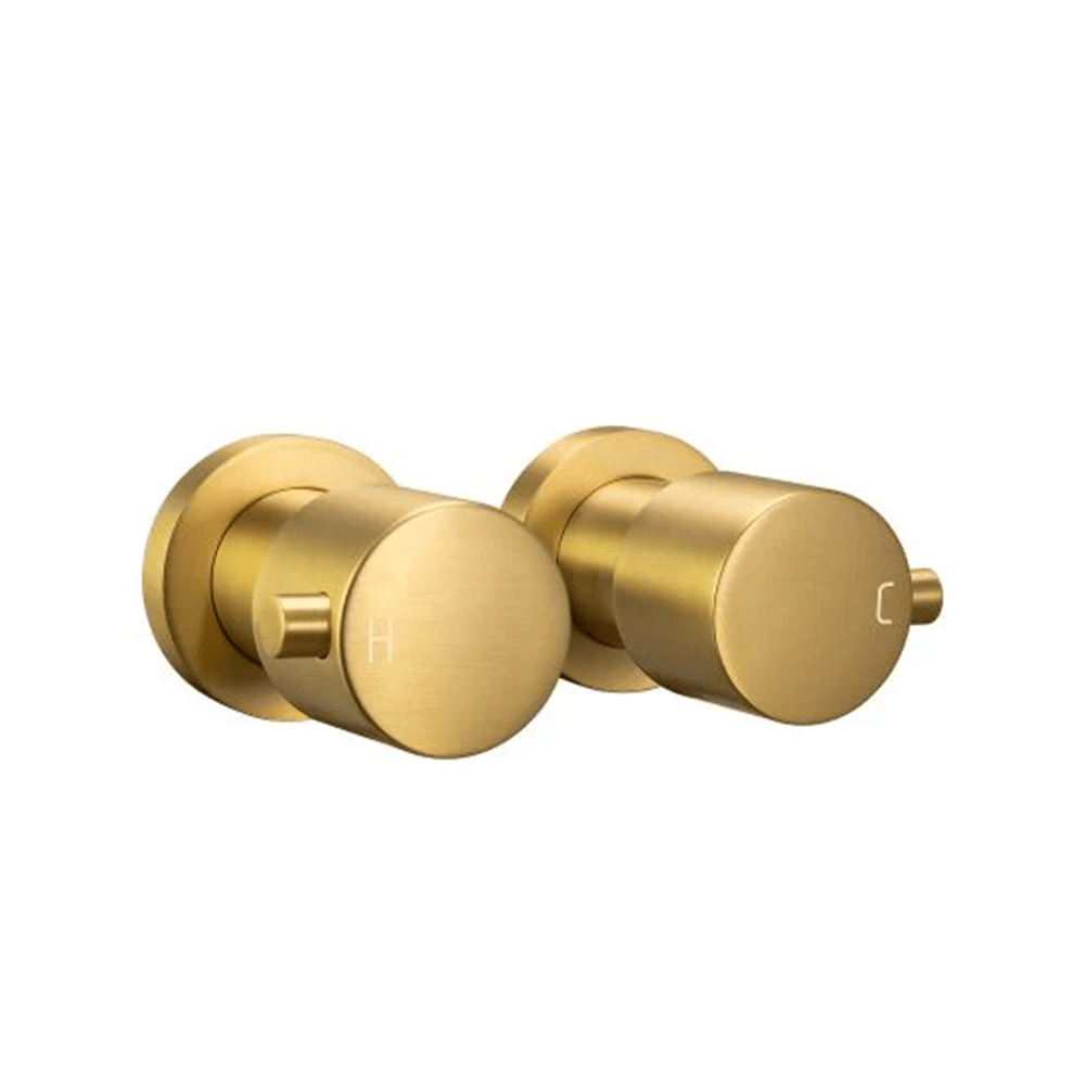 TSI Mixer Taps BUYG0007.ST LUCID PIN ROUND BRUSHED SHOWER WALL TAPS
