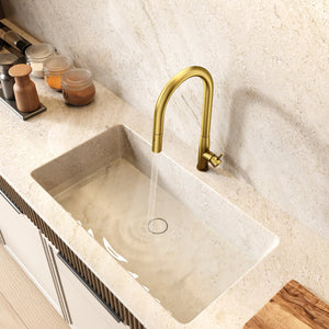 TSI Mixer Taps C-1SKMBG Navona Carysil Slim Brushed Gold Pull Out Kitchen Mixer
