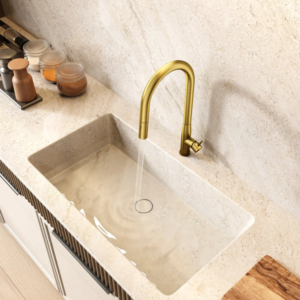 TSI Mixer Taps C-1SKMBG Navona Carysil Slim Brushed Gold Pull Out Kitchen Mixer