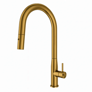 TSI Mixer Taps C-1SKMBG Navona Carysil Slim Brushed Gold Pull Out Kitchen Mixer