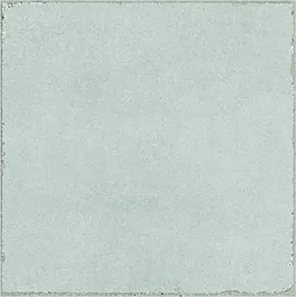 188472 DUNE VALENCIA SALVIA 200X200