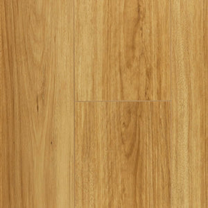 Victiles simple Floortex 12mm Semi Gloss HD Laminate Floor - HD702 Coastal Blackbutt