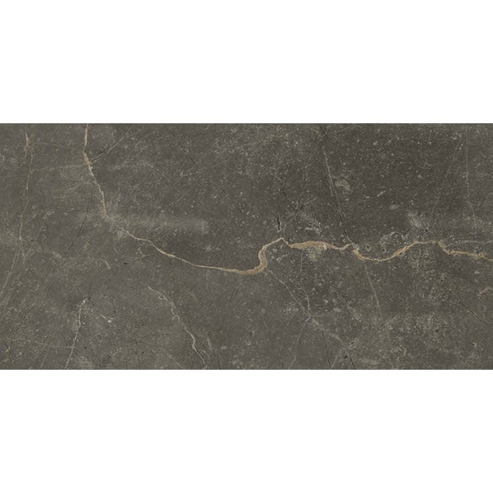 Victiles Tile 36ZMFCHM ZMF8055A MARFIL CHARCOAL MATT P2 300X600MM