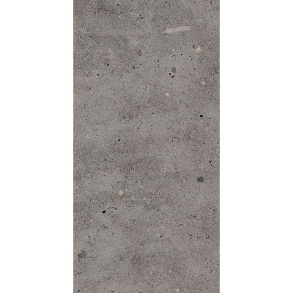 Victiles Tile T/CAASM3060 ENTIVA CALONIS ASH MATT P3 300*600 REC.