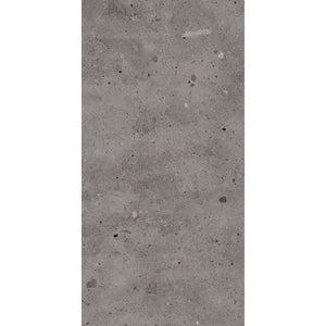 Victiles Tile T/CAASM3060 ENTIVA CALONIS ASH MATT P3 300*600 REC.