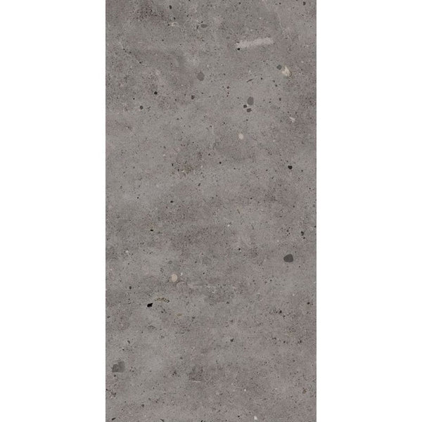 Victiles Tile T/CAASM3060 ENTIVA CALONIS ASH MATT P3 300*600 REC.