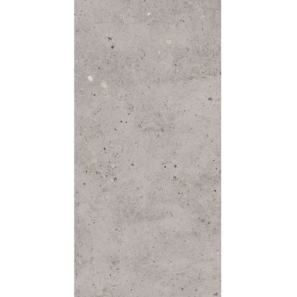 Victiles Tile T/CAICM3060 ENTIVA CALONIS ICE MATT P3 300*600 REC.