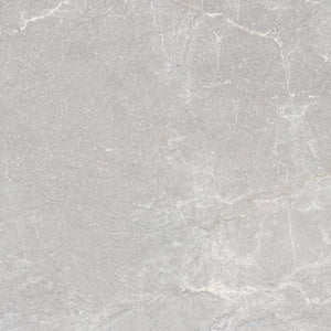 VL Tile T/ORCLM60	ENTIVA ORRA CLAY MATT 600*600 REC.