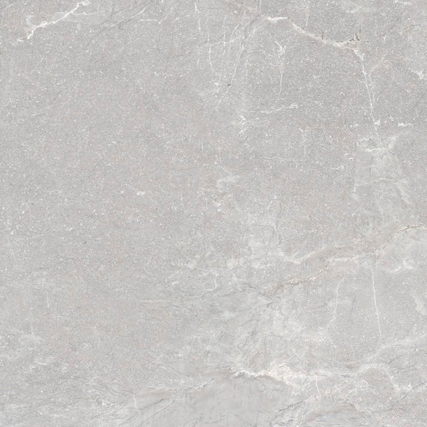 VL Tile T/ORCLM60	ENTIVA ORRA CLAY MATT 600*600 REC.