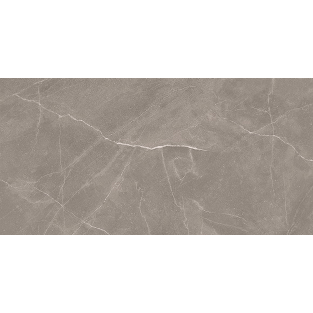 VL Tile T/DAPEP3060 ENTIVA DALLAS PETRA POLISHED 300*600 REC.