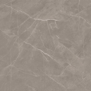 VL Tile T/DAPEP6060 ENTIVA DALLAS PETRA POLISHED 600*600 REC.