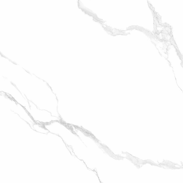 VL Tile T/ILMACAM6060 ENTIVA ILLINOIS CARRARA MATT 600*600mm REC.