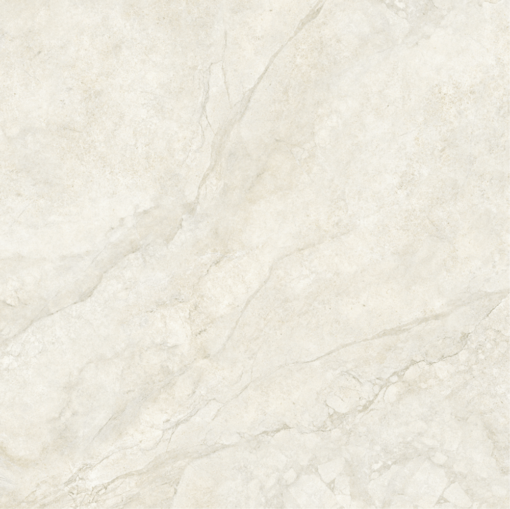 VL Tile T/LSNAM6060 Entiva Lake Stone Natural Matt P4 600*600mm REC.