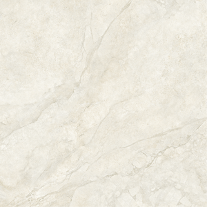 VL Tile T/LSNAM6060 Entiva Lake Stone Natural Matt P4 600*600mm REC.